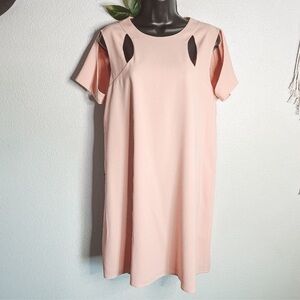 BCBGMaxAzria Blush Pink Mini Dress size M